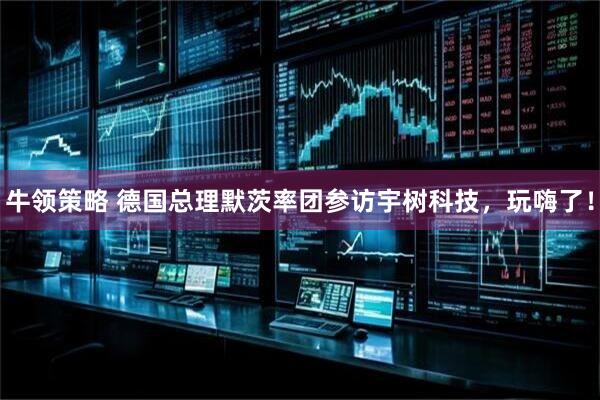 牛领策略 德国总理默茨率团参访宇树科技，玩嗨了！