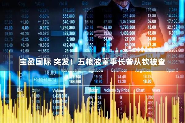宝盈国际 突发！五粮液董事长曾从钦被查