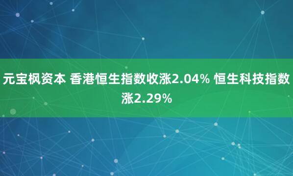 元宝枫资本 香港恒生指数收涨2.04% 恒生科技指数涨2.29%