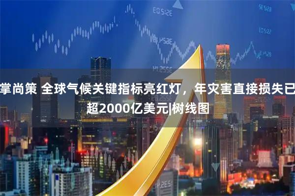 掌尚策 全球气候关键指标亮红灯，年灾害直接损失已超2000亿美元|树线图