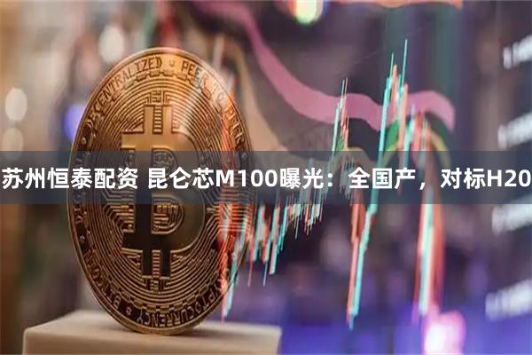 苏州恒泰配资 昆仑芯M100曝光：全国产，对标H20